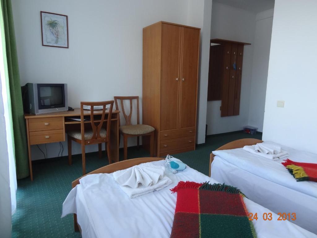 Alpenhof Pansion Hotel Slavske Phòng bức ảnh