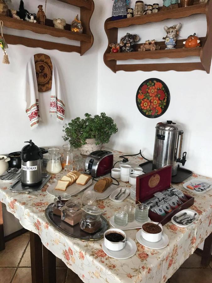 Alpenhof Pansion Hotel Slavske Ngoại thất bức ảnh